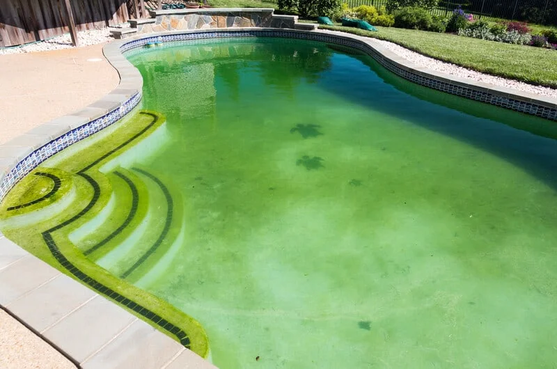 Swim in a pool with algae?